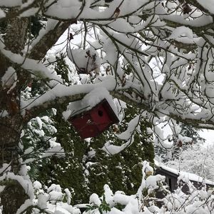 Meet your Posher, Sheryl